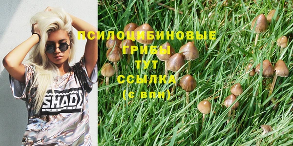 а пвп мука Арсеньев
